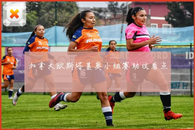 加拿大欧斯塔基奥小组赛助攻看点