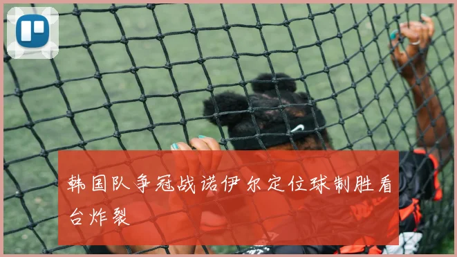 韩国队争冠战诺伊尔定位球制胜看台炸裂