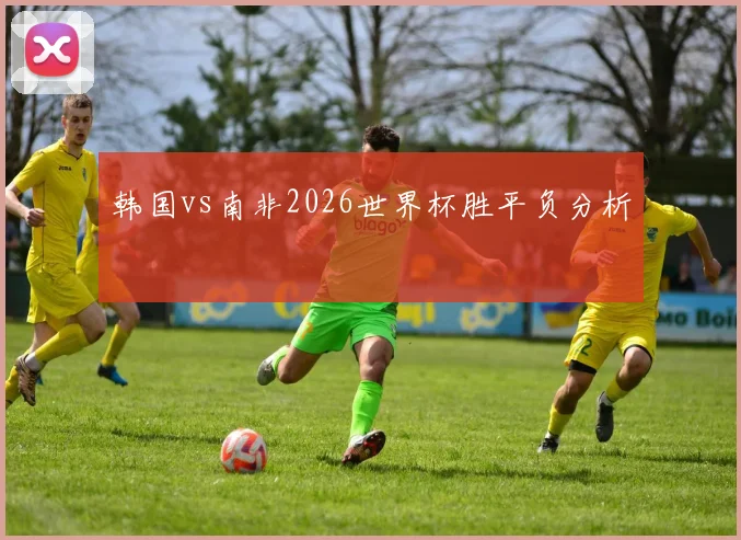 韩国vs南非2026世界杯胜平负分析