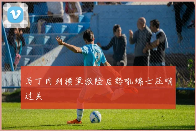 马丁内利横梁救险后怒吼瑞士压哨过关