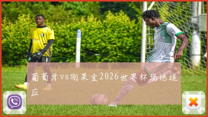 葡萄牙vs刚果金2026世界杯场地适应