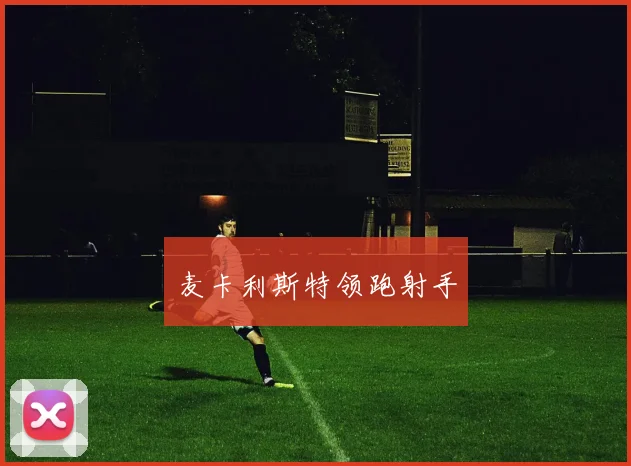 麦卡利斯特领跑射手