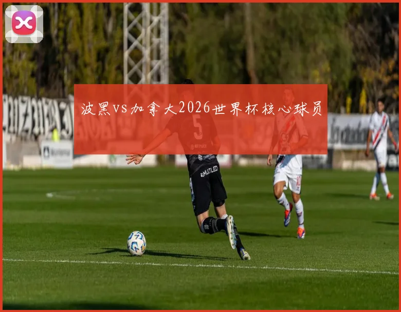 波黑vs加拿大2026世界杯核心球员