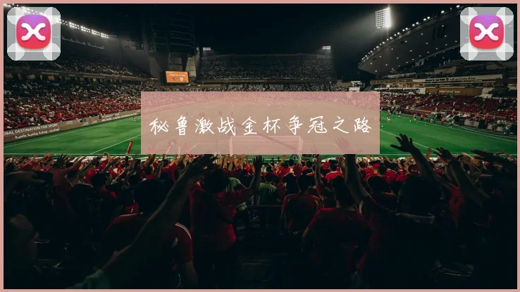 秘鲁激战金杯争冠之路