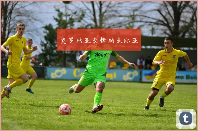 克罗地亚交锋纳米比亚