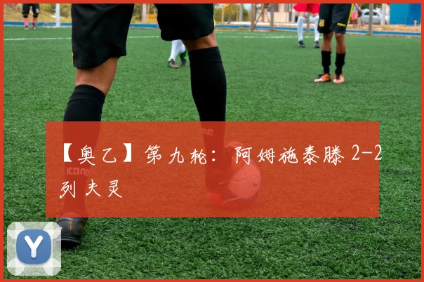 【奥乙】第九轮：阿姆施泰滕 2-2 列夫灵