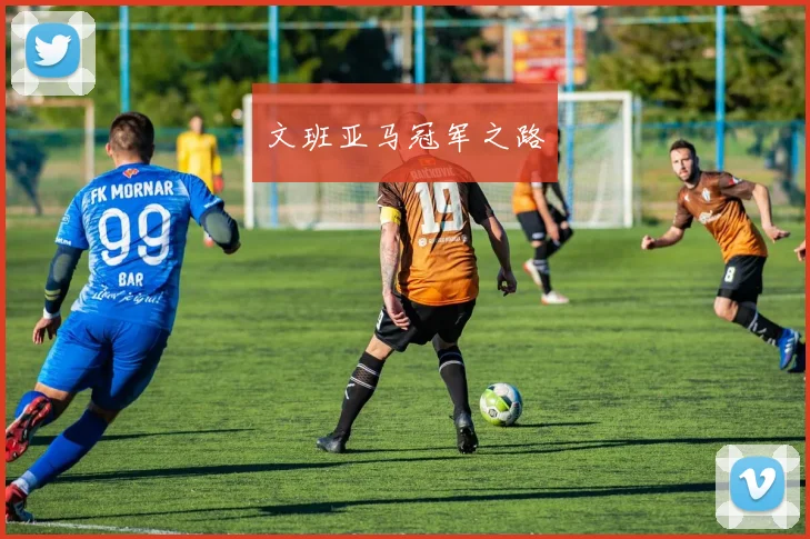 文班亚马冠军之路