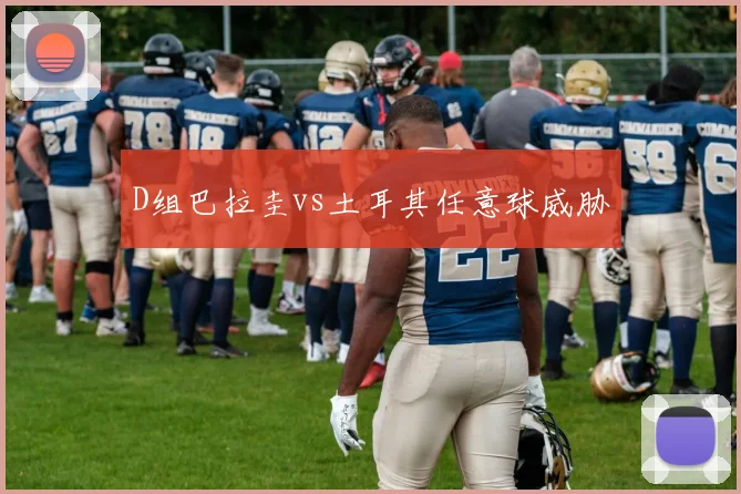 D组巴拉圭vs土耳其任意球威胁