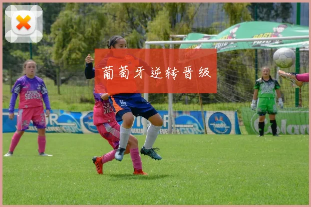 葡萄牙逆转晋级