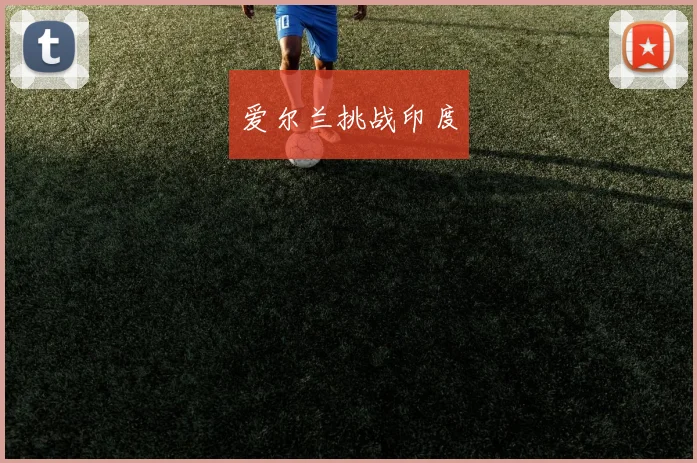 爱尔兰挑战印度
