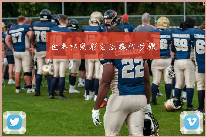 世界杯购彩合法操作步骤