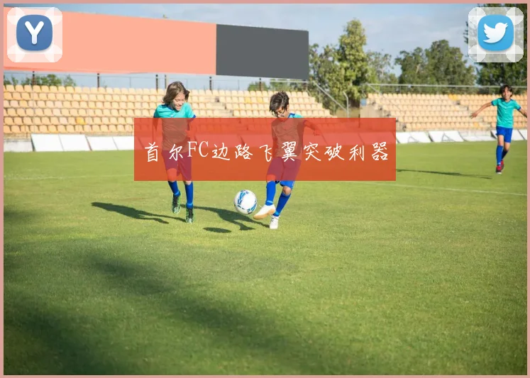 首尔FC边路飞翼突破利器