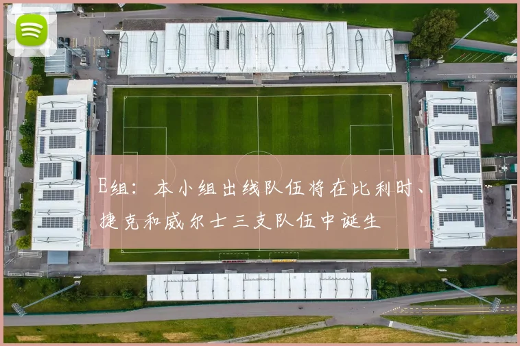 E组:本小组出线队伍将在比利时、捷克和威尔士三支队伍中诞生