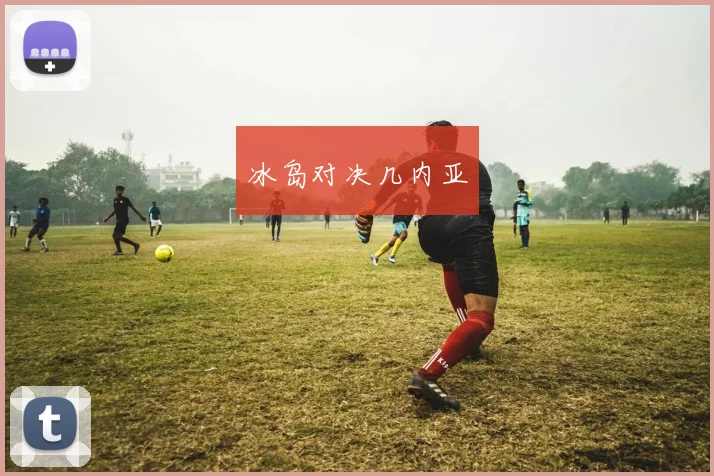 冰岛对决几内亚