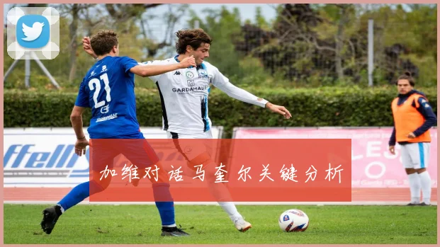 加维对话马奎尔关键分析