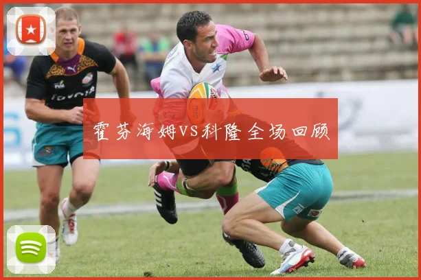霍芬海姆vs科隆全场回顾